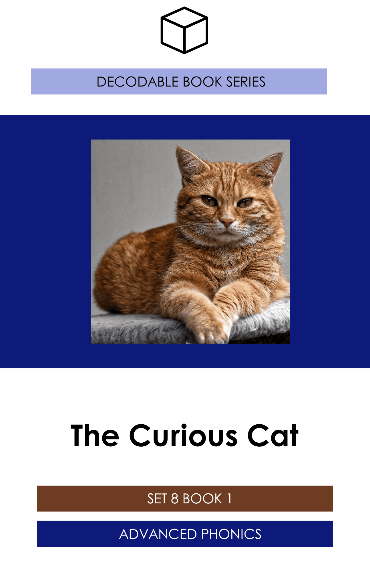 The Curious Cat