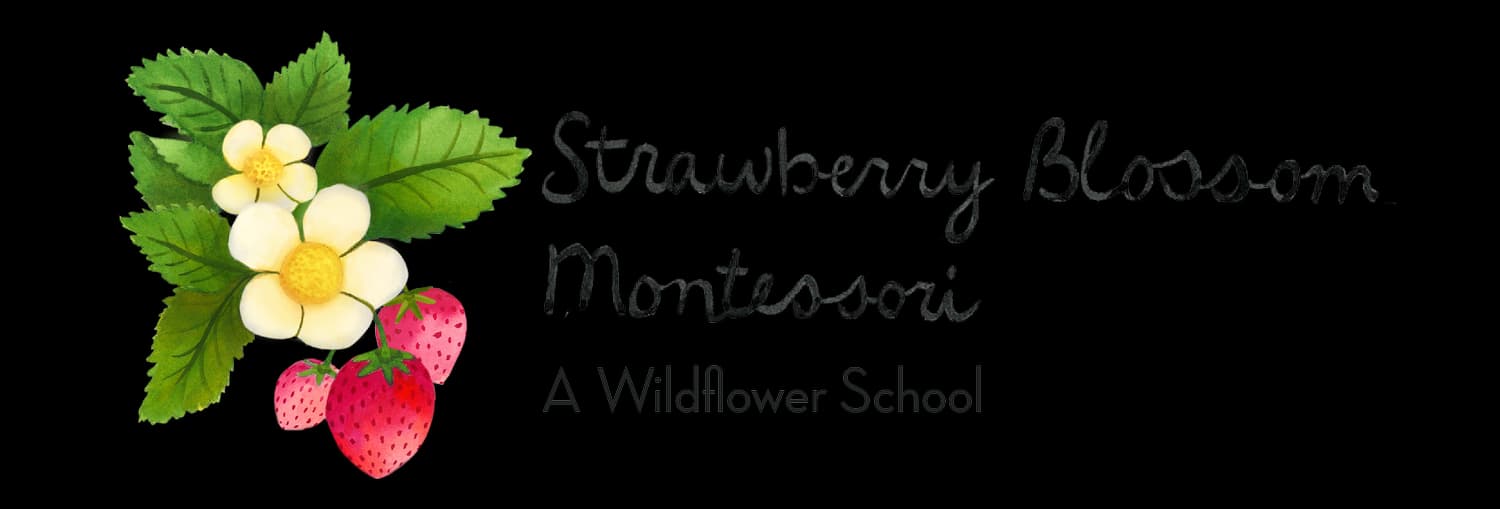Strawberry Blossom Montessori