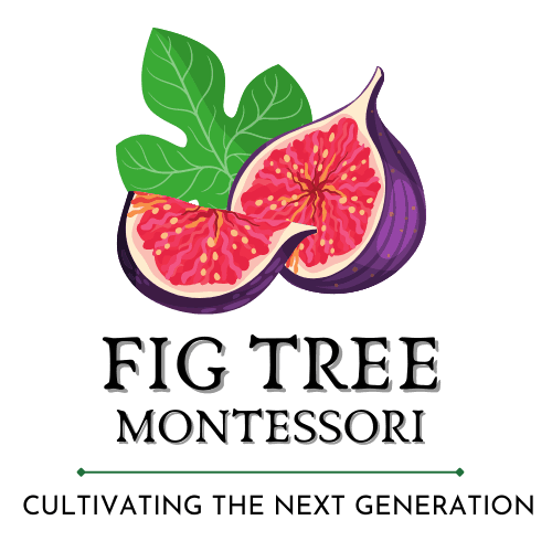 Fig Tree Montessori