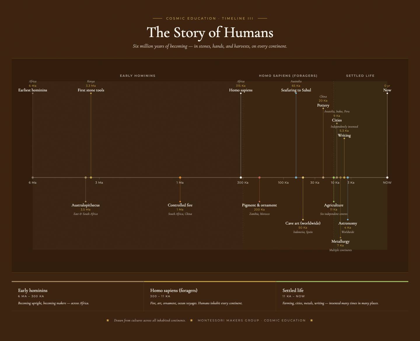 Timeline of Humans